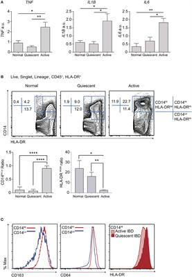 Dynamics of Colon Monocyte and Macrophage Activation During Colitis